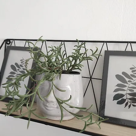 Bucica Dvori Apartman