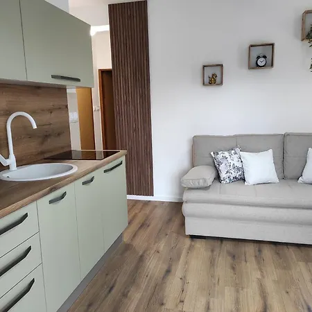 Apartment Apartments Bucica Dvori